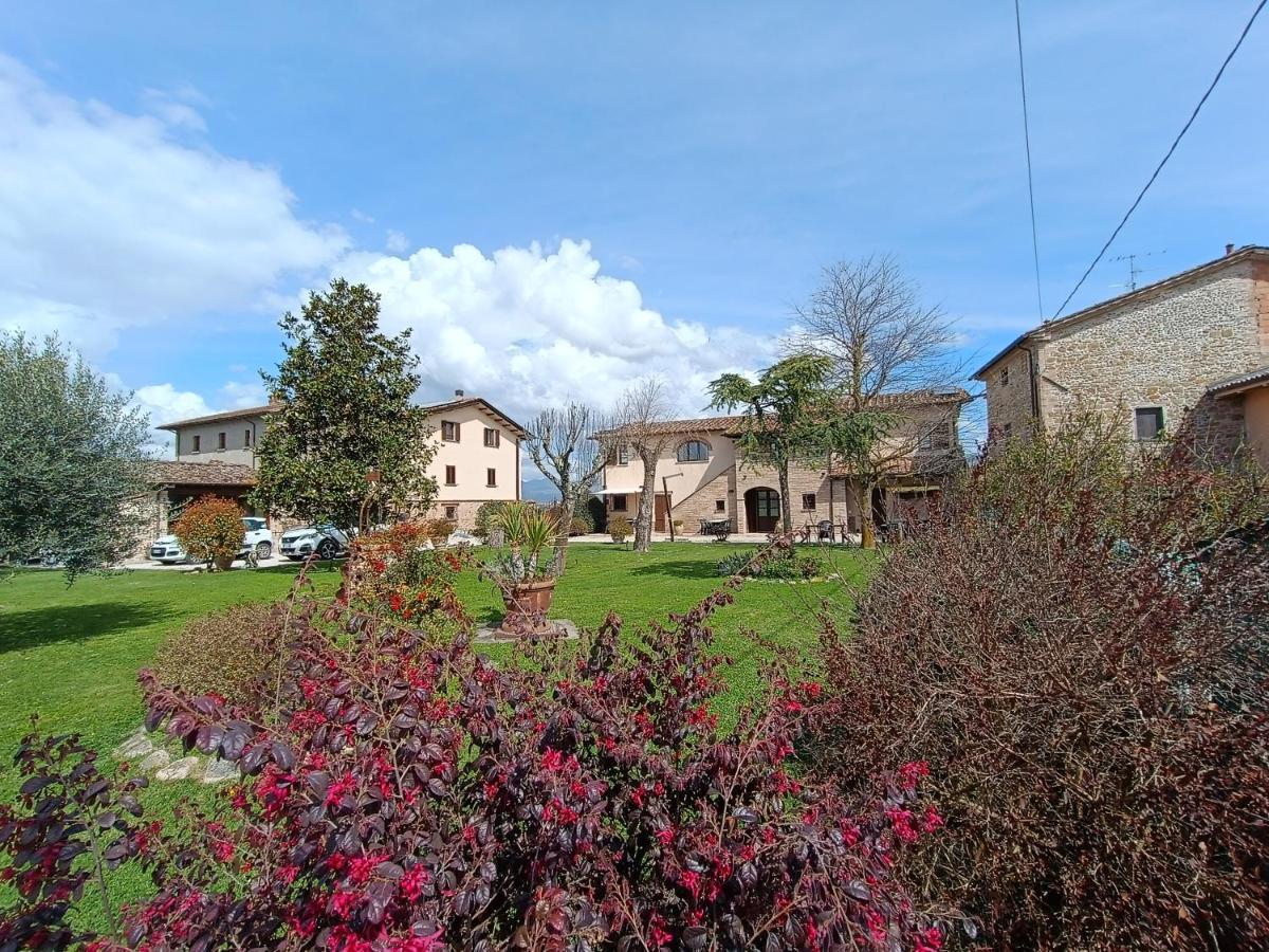 Podere Casenove Citerna Екстер'єр фото